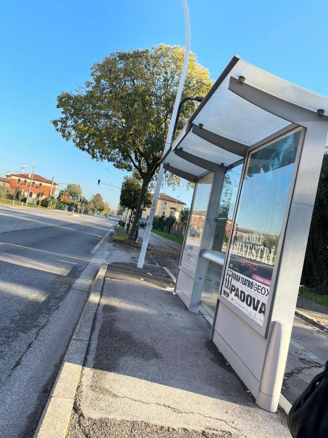 Appartamento Al Parco Padoue Extérieur photo